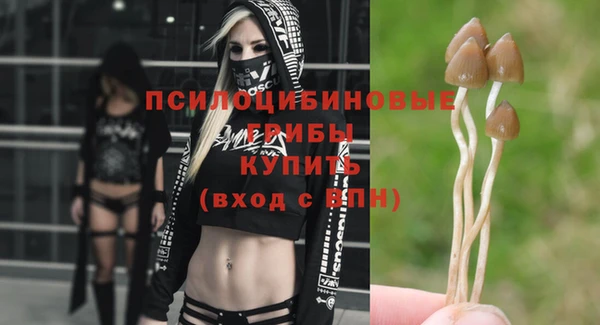 mix Армянск